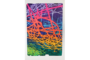 Aleš Lamr - Růžová drůza